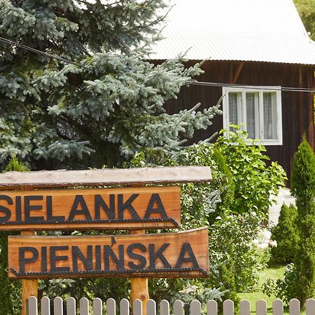 הוילה קרושצ'נקו Sielanka Pieninska מראה חיצוני תמונה